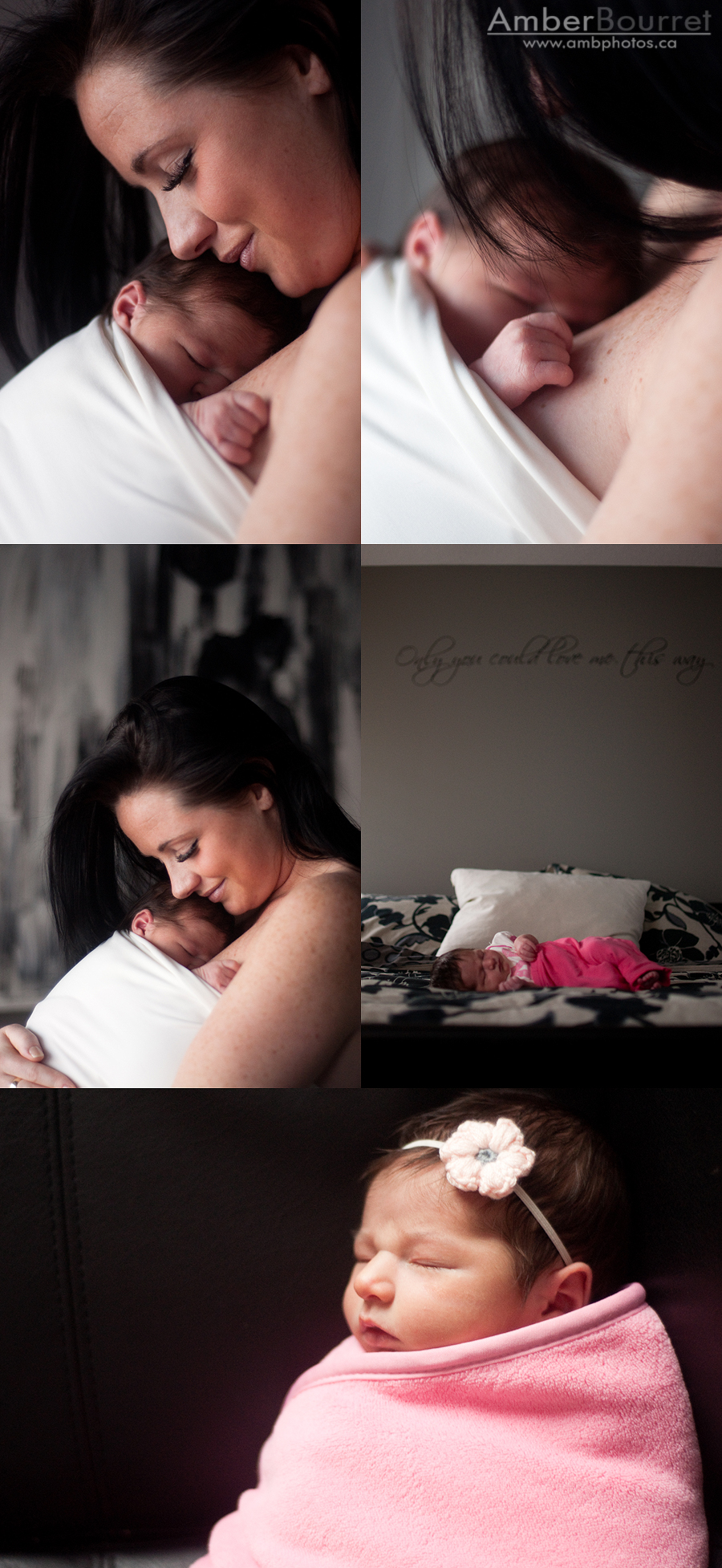 red deer newborn photography