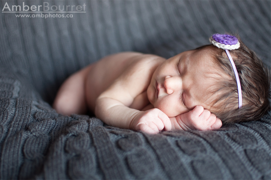 red deer newborn photography