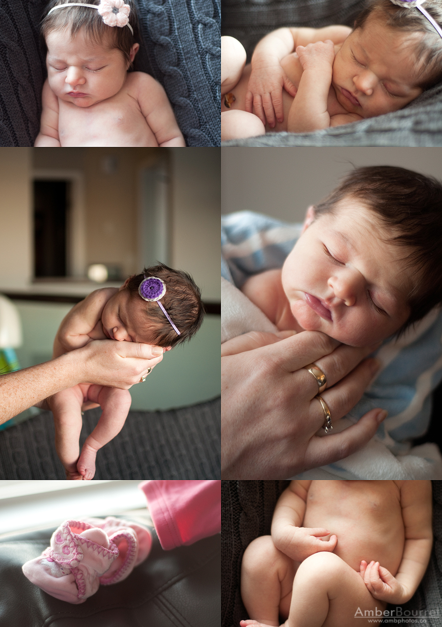 red deer newborn photography