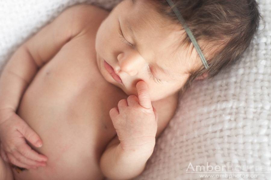 red deer newborn photography