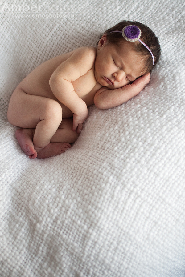 red deer newborn photography