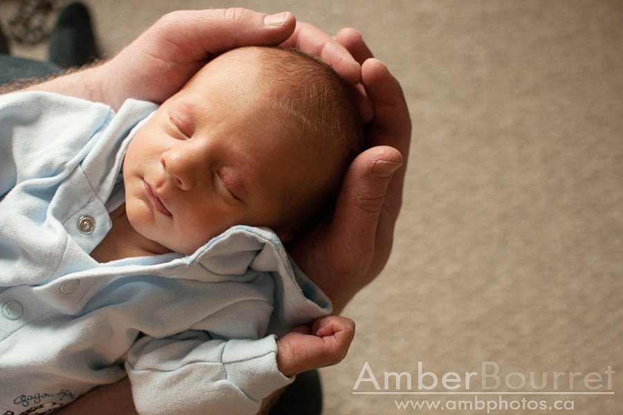 red deer newborn photography