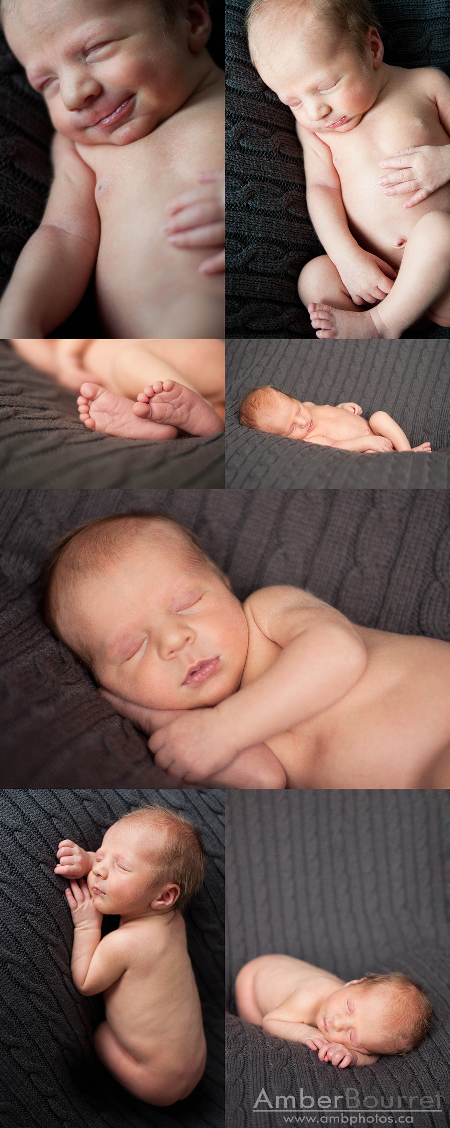 red deer newborn photography