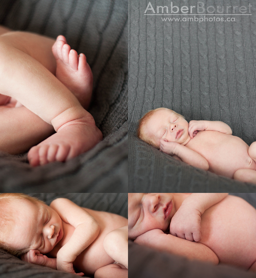 newborn photographers in red deer