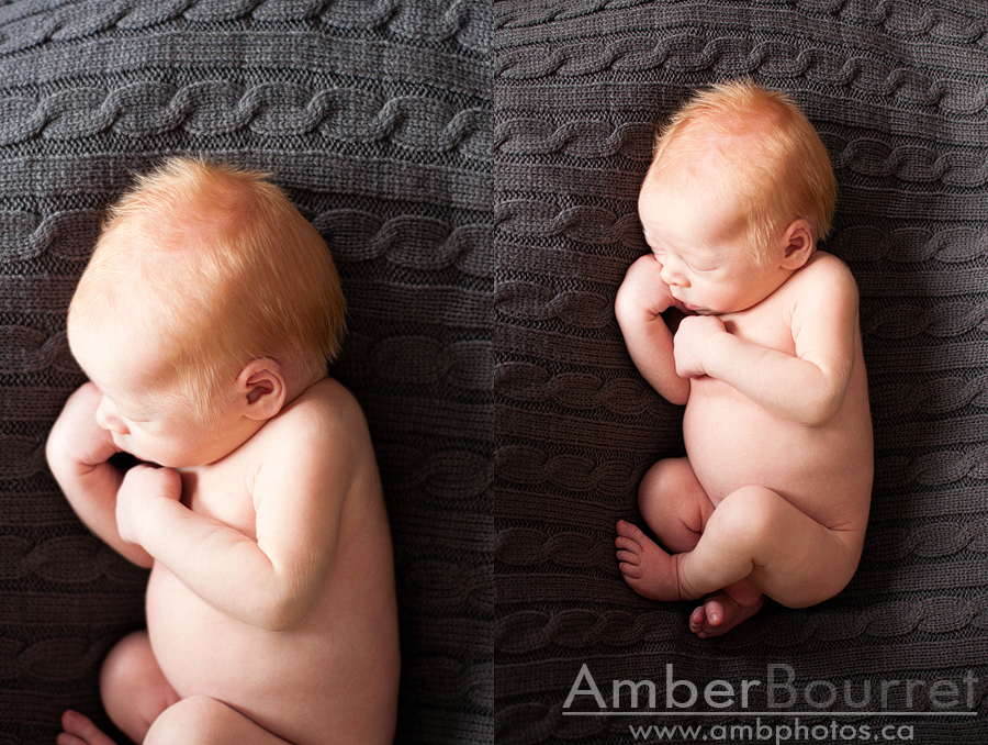 newborn photographers in red deer