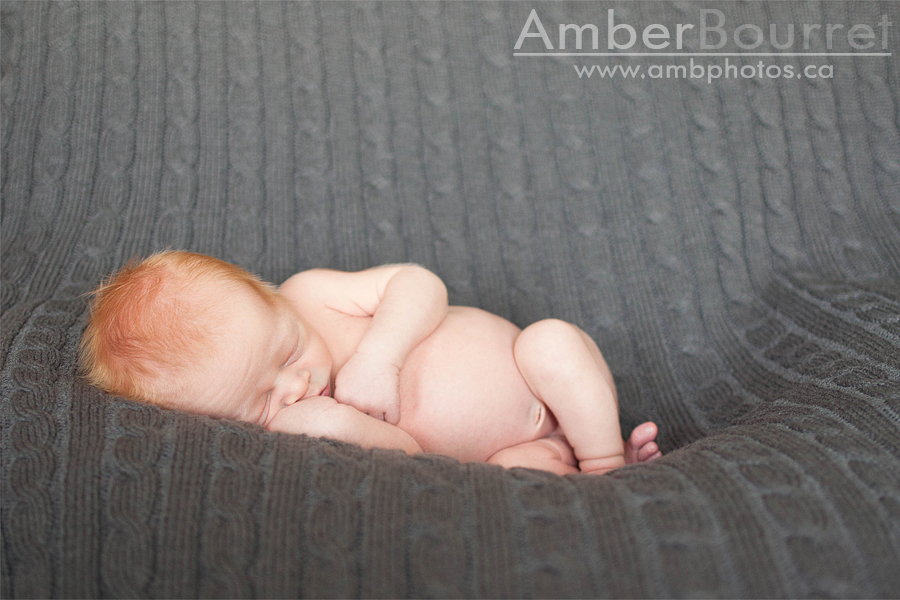 newborn photographers in red deer