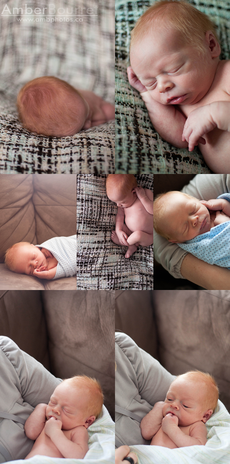 newborn photographers in red deer