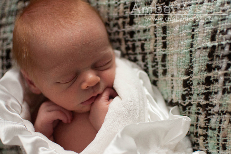 newborn photographers in red deer