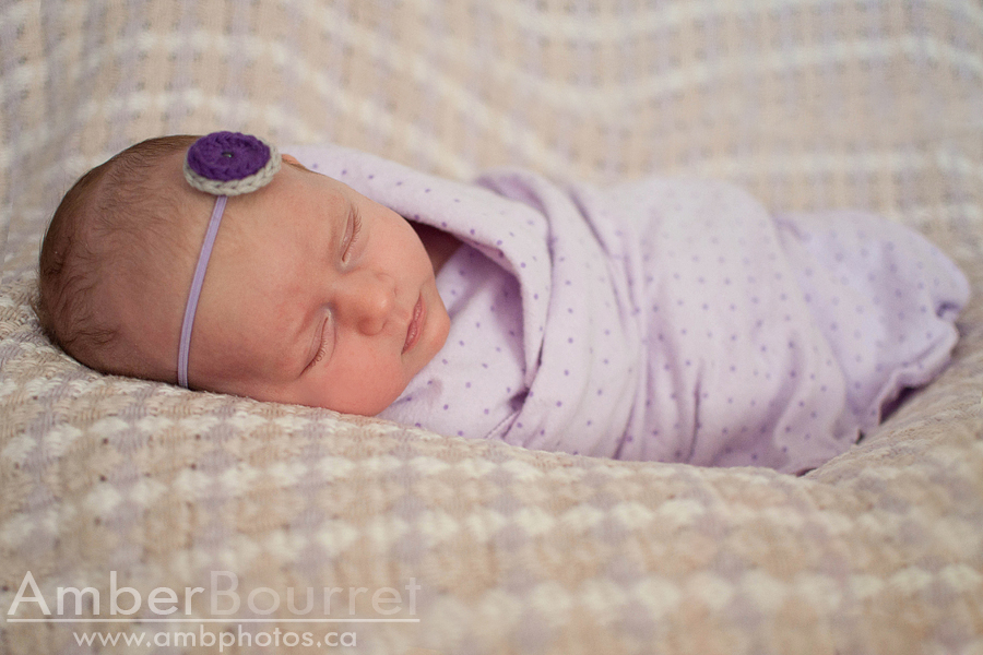 newborn photographers in red deer