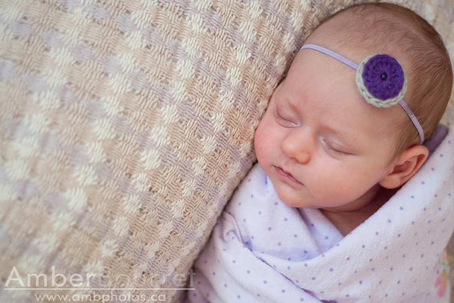 newborn photographers in red deer