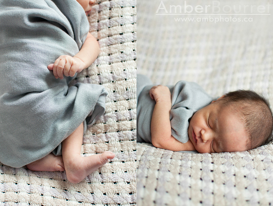 newborn photographers in red deer