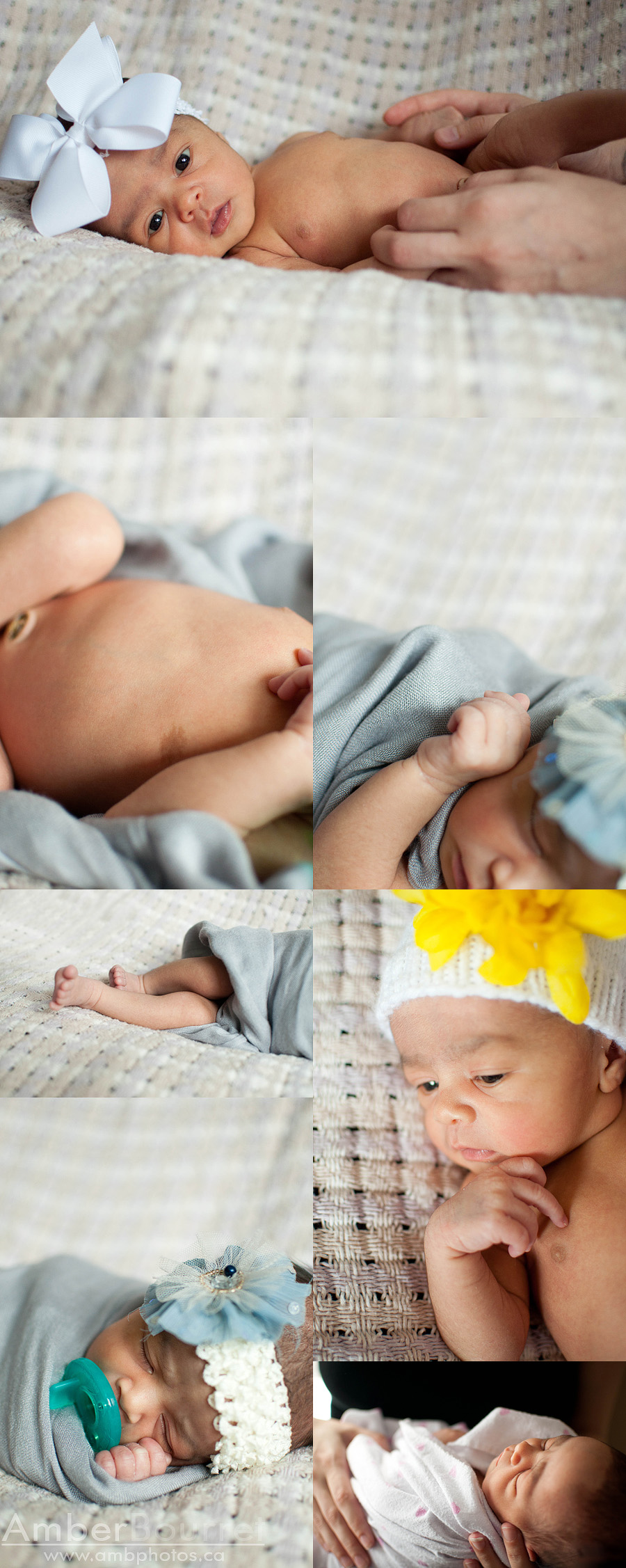 newborn photographers in red deer