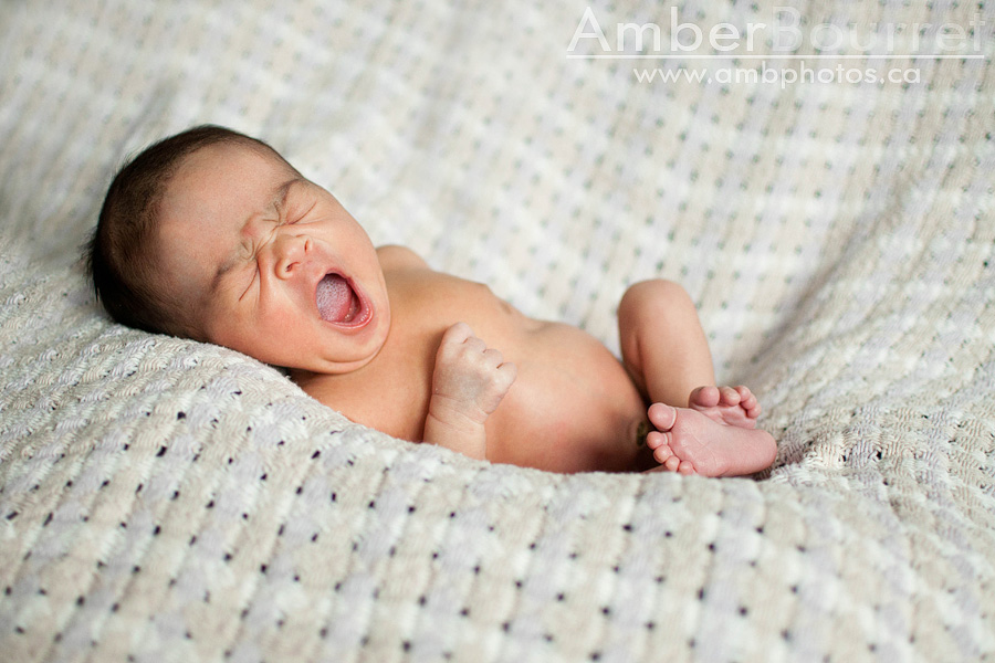 newborn photographers in red deer