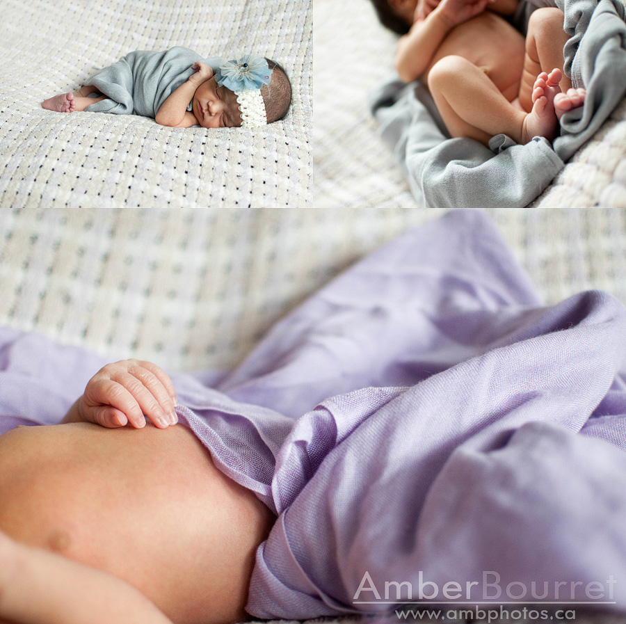 newborn photographers in red deer