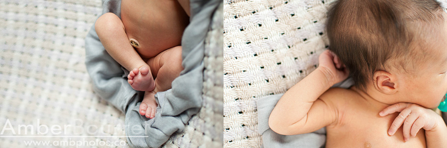 newborn photographers in red deer