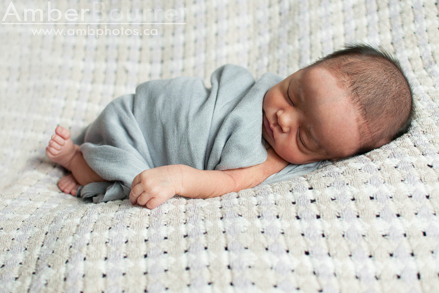 newborn photographers in red deer