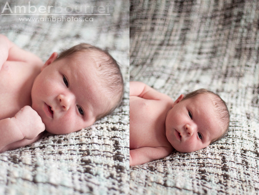 newborn photographers in red deer