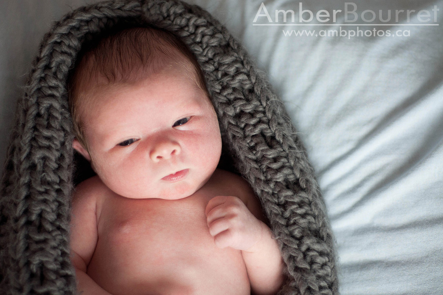 newborn photographers in red deer