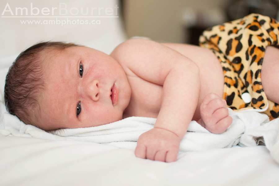 newborn photographers in red deer