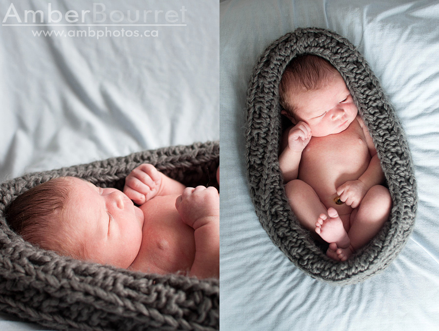 newborn photographers in red deer