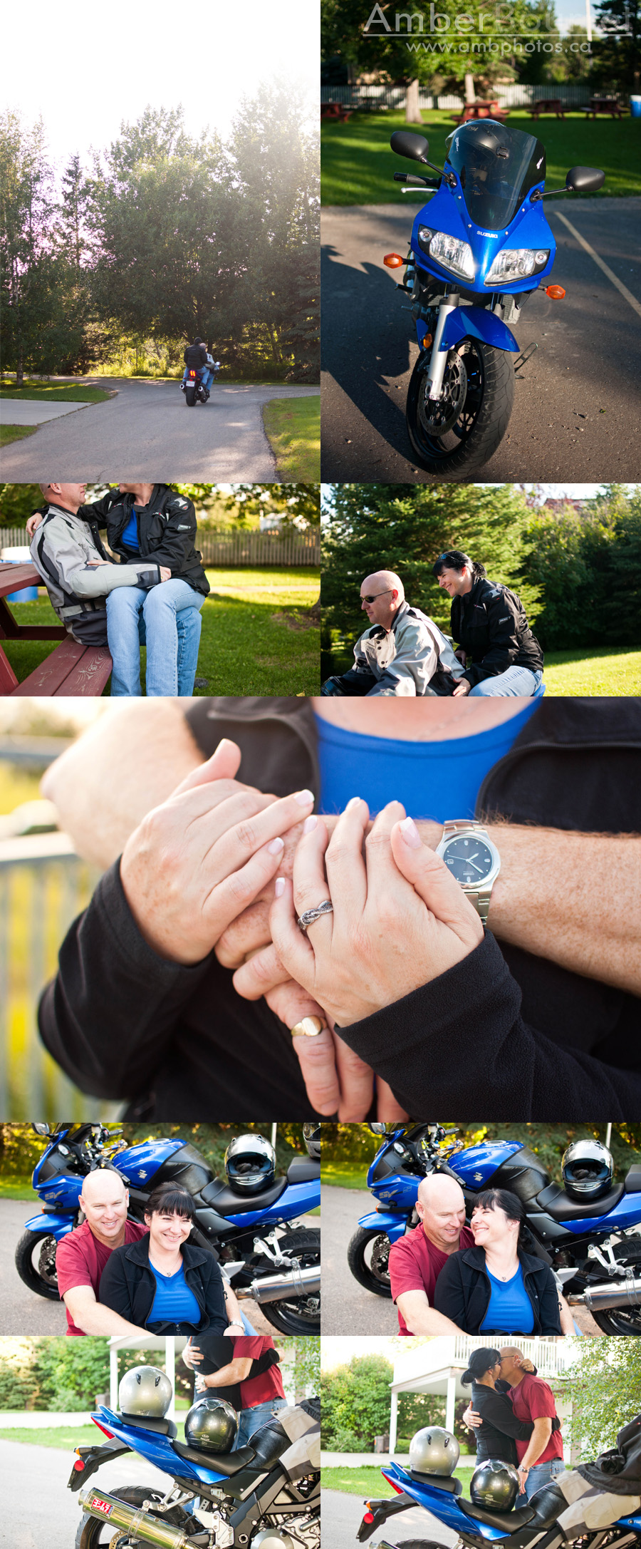Red Deer Photographers