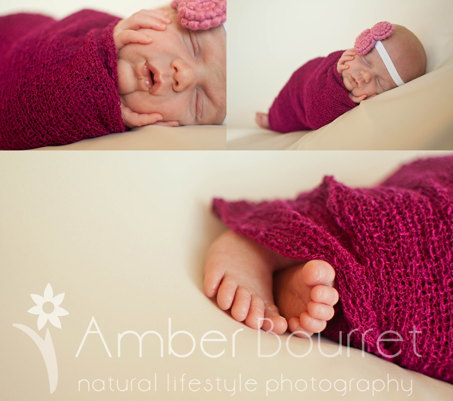 red deer newborn photography