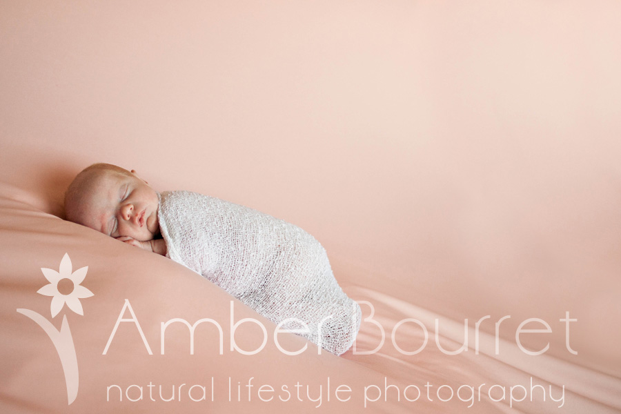 red deer newborn photography