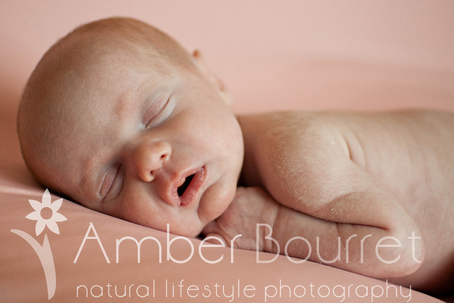  red deer newborn photography