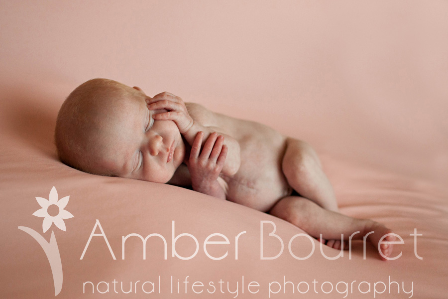 red deer newborn photography