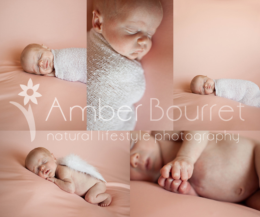 red deer newborn photography