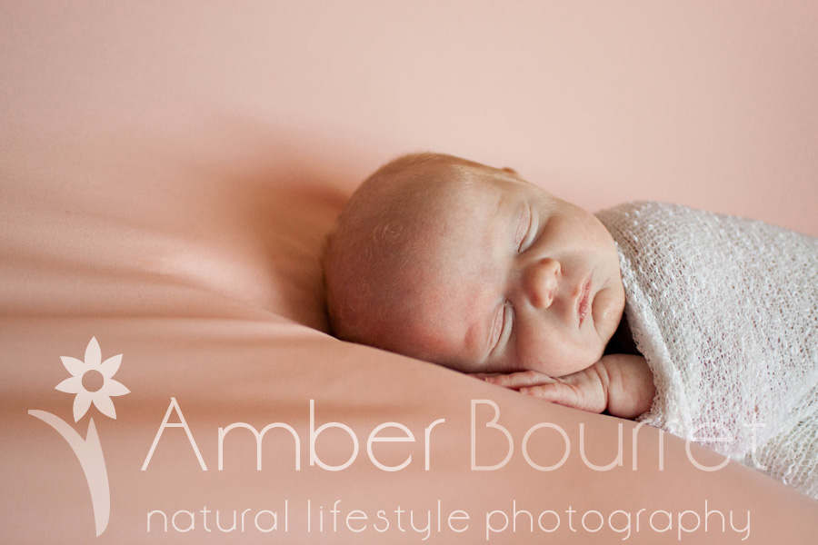 red deer newborn photography