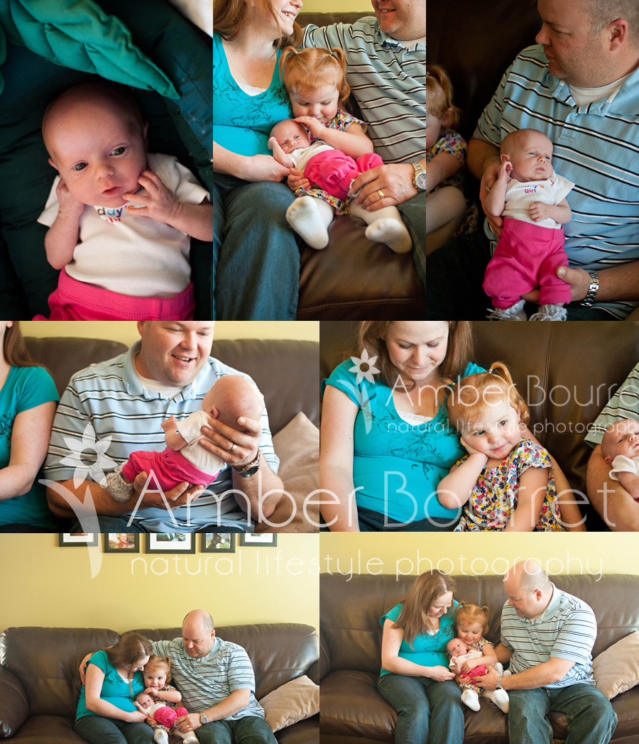 red deer newborn photography