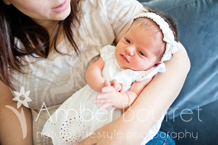 red deer newborn photography