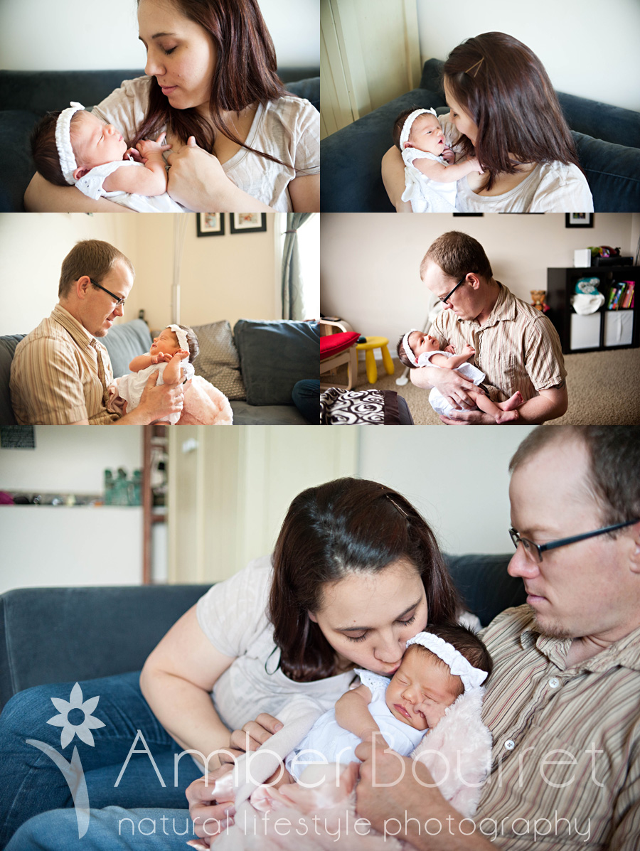 red deer newborn photography