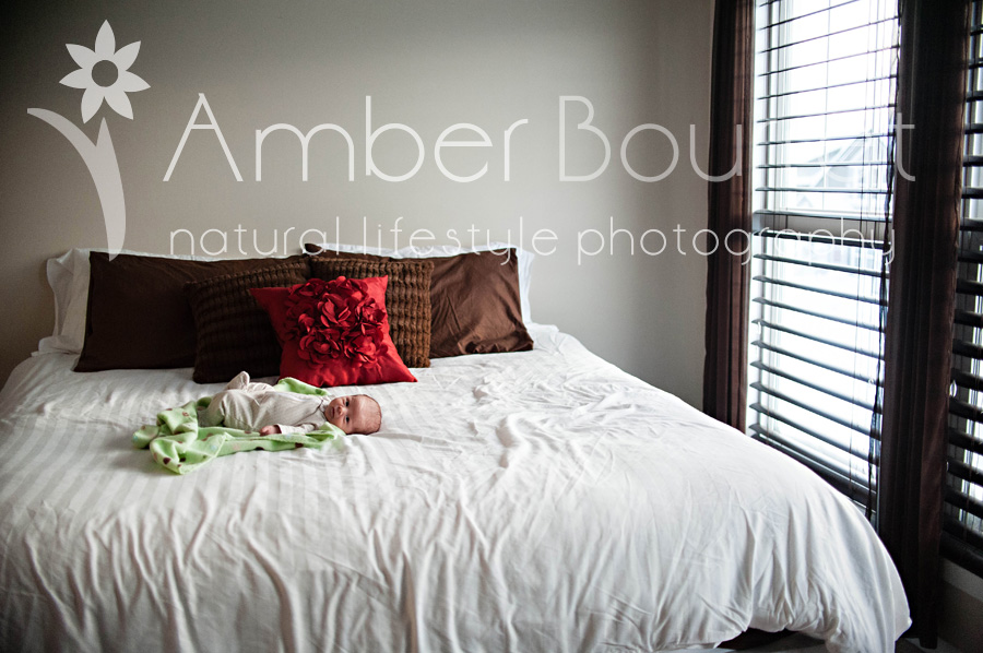 red deer photography, edmonton photography