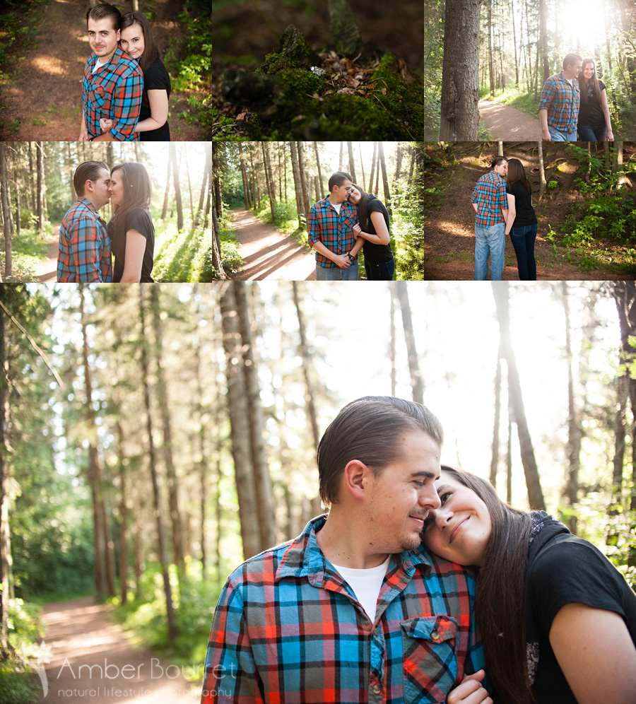 red deer photography