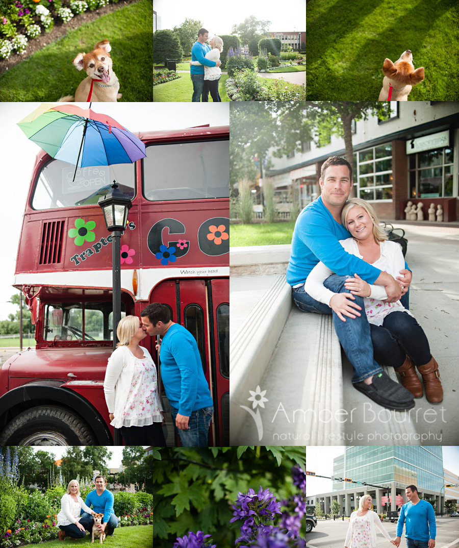  red deer photographers