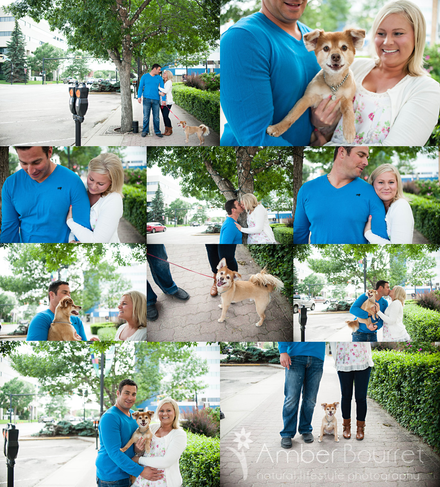  red deer photographers