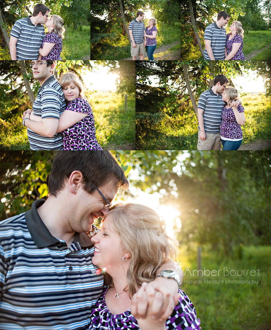 red deer photography