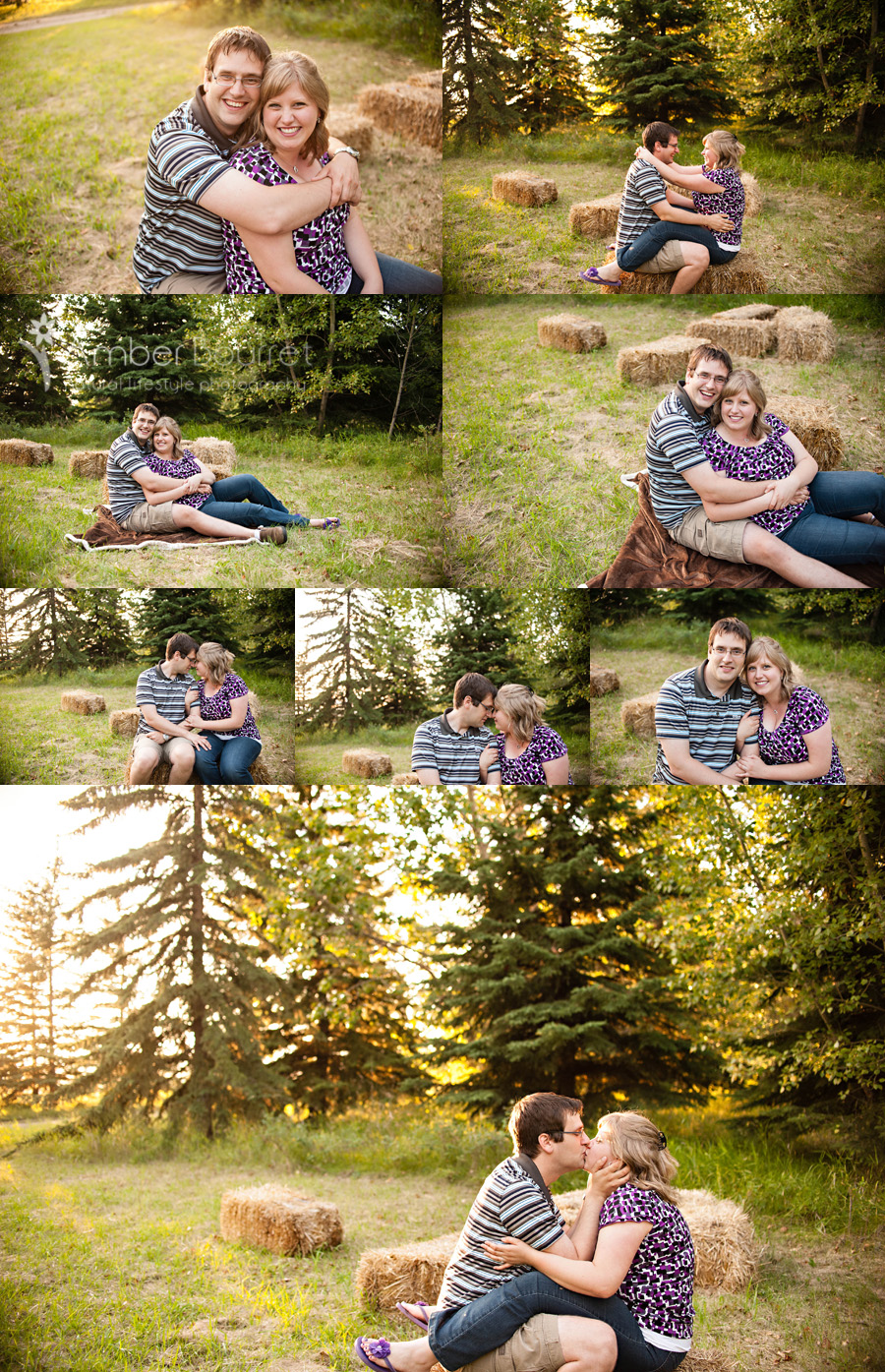 red deer photography