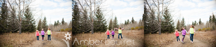 red deer photography