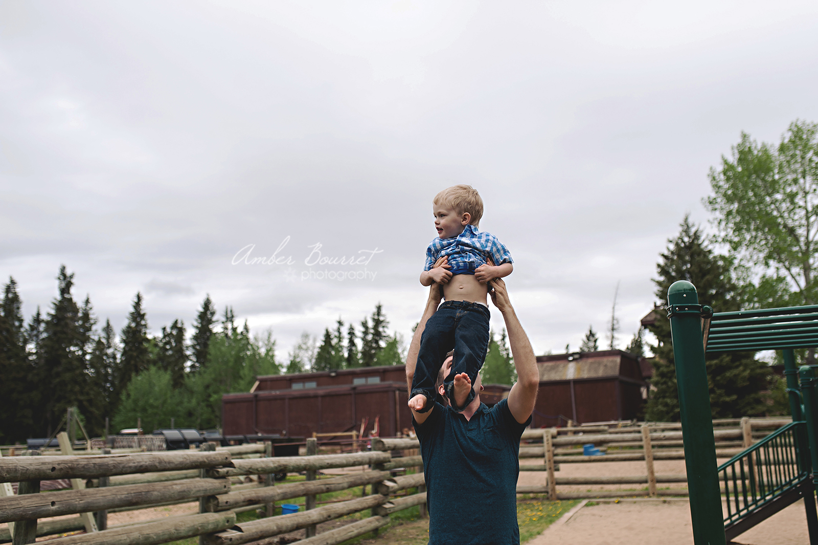 red deer lifestyle photography