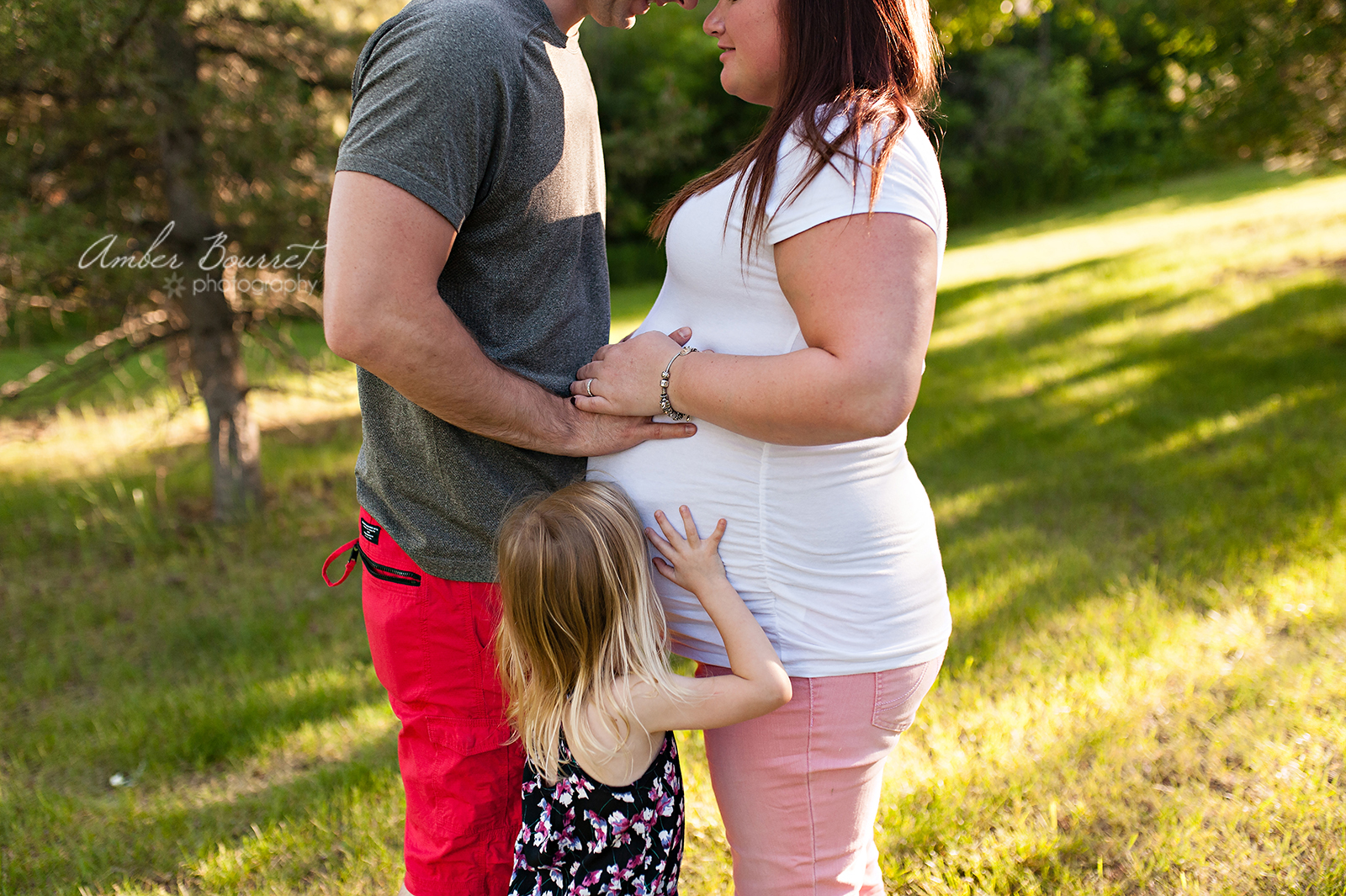 red deer family photographers 