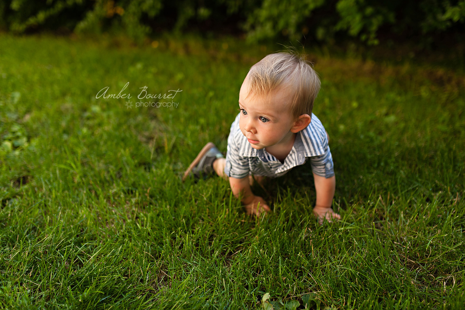 EFam Lifestyle Family Photographer in Red Deer (74)