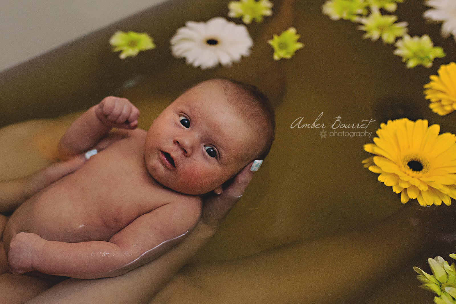 Red Deer Herbal Bath Newborn Photographer  (1)