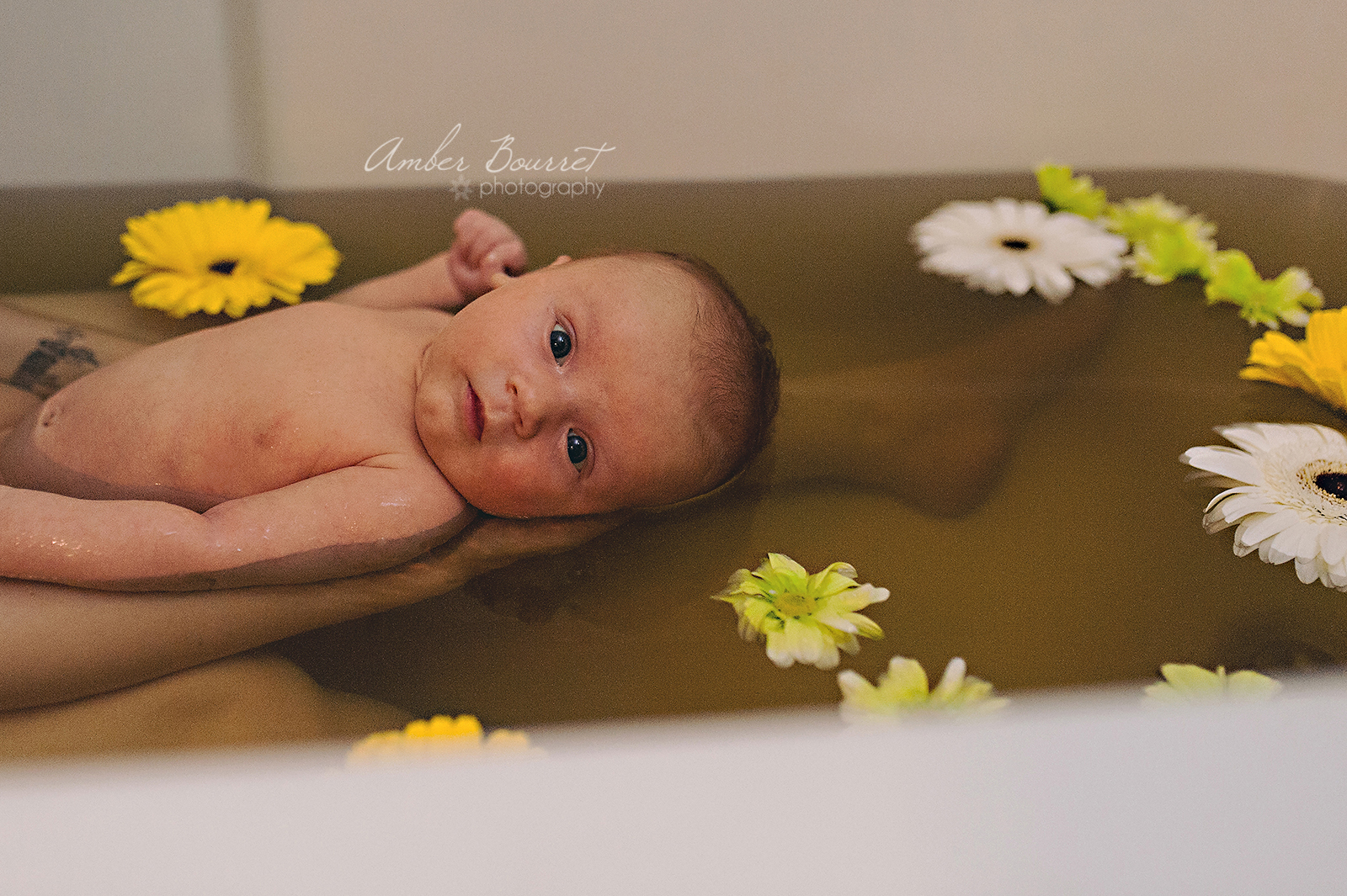 Red Deer Herbal Bath Newborn Photographer  (3)