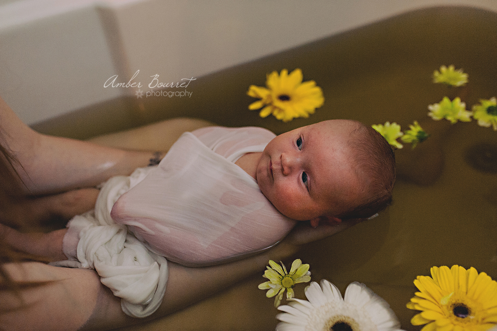 Red Deer Herbal Bath Newborn Photographer  (6)