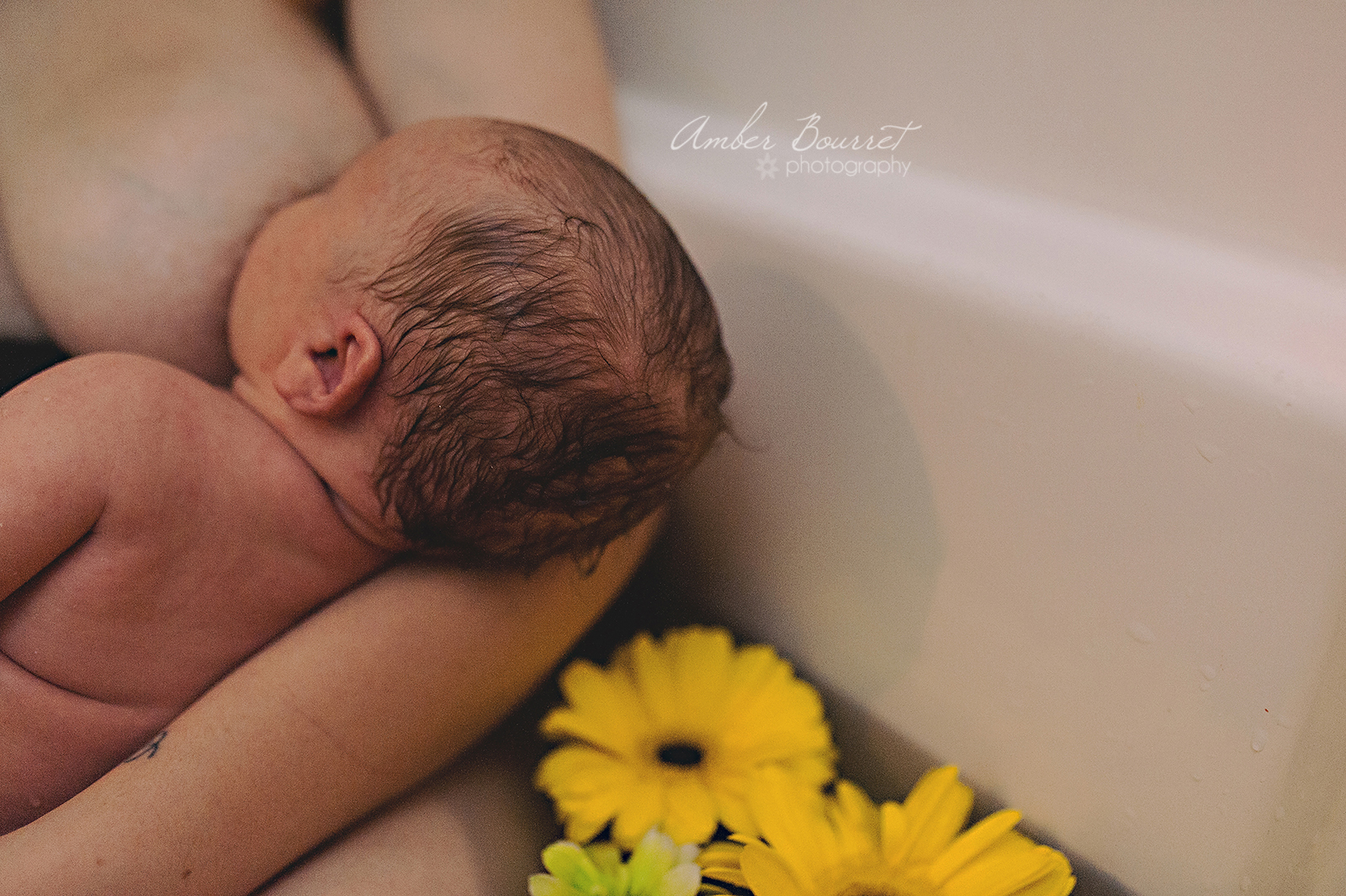 Red Deer Herbal Bath Newborn Photographer  (8)