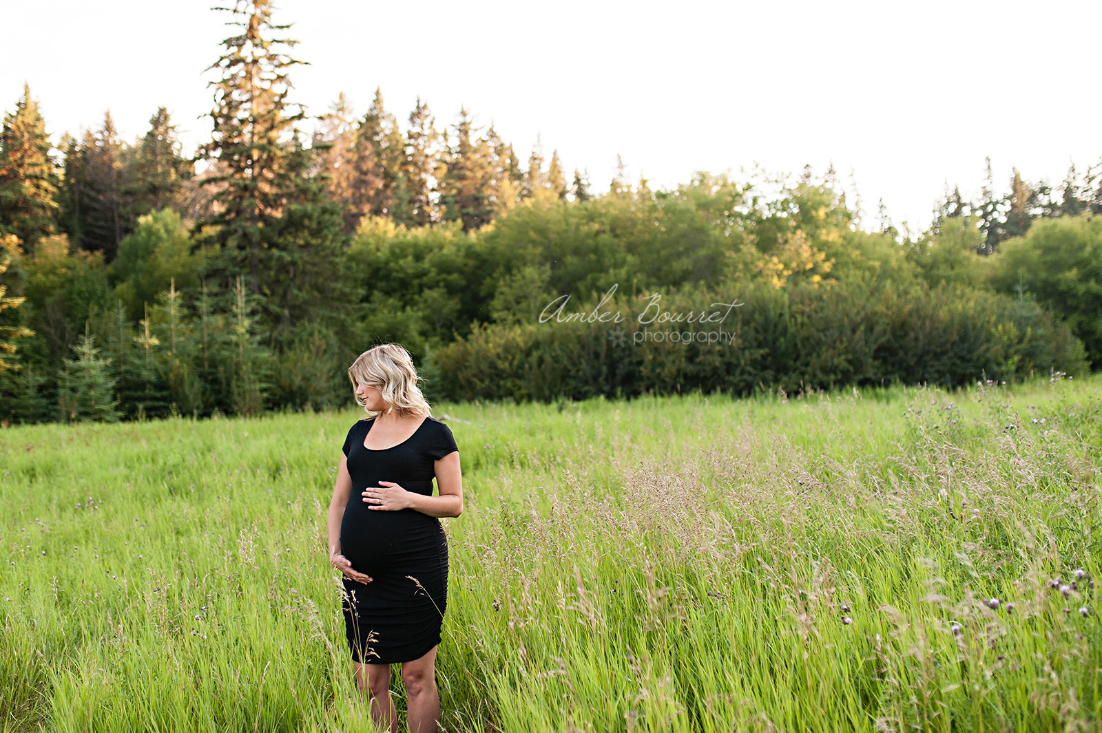 sm red deer maternity photographer (3)