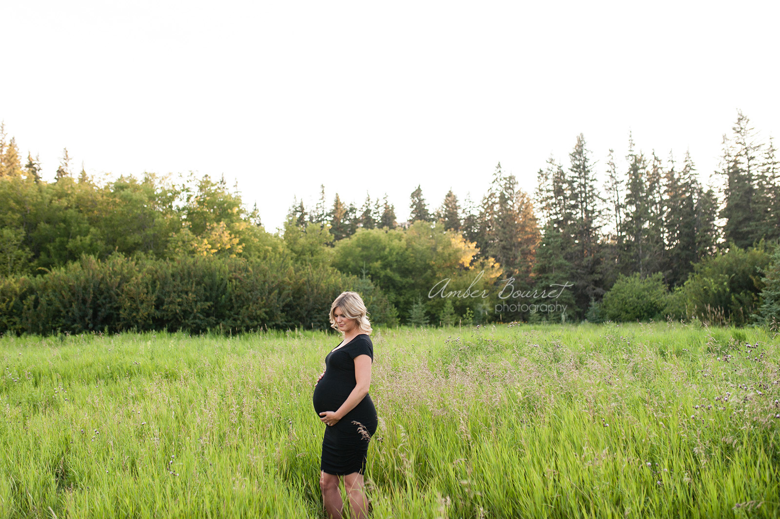 sm red deer maternity photographer (7)